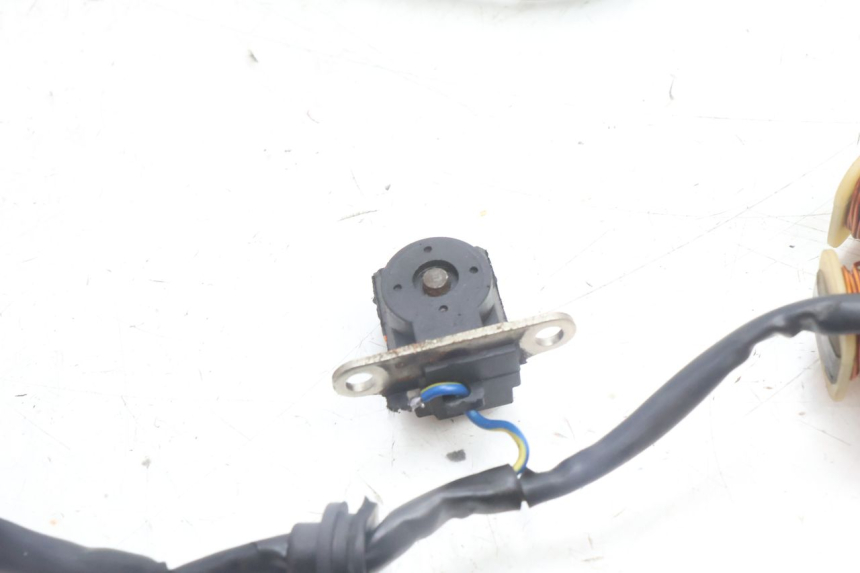 photo de ROTOR STATOR TNT MOTOR ROMA 10' 4T 50 (2007 - 2018) - Geprüftes Gebrauchtteil