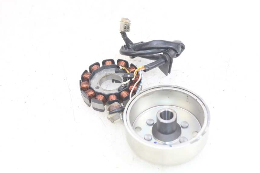 photo de ROTOR STATOR SHERCO SM-R 50 (2018 - 2021) - Zoom auf Gebrauchszustand