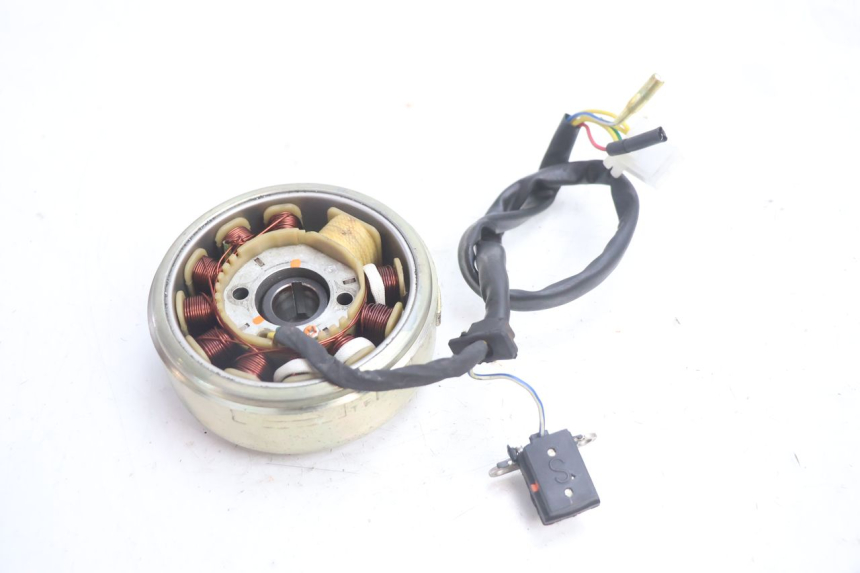 photo de LICHTMASCHINE RAZZO STEED 125 (2012 - 2018) - Alternative Perspektive