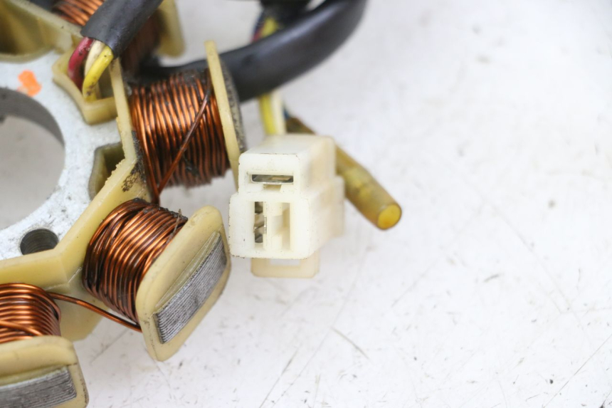 photo de ROTOR STATOR JM MOTORS SUNNY 50 (2017 - 2020) - Alternative Perspektive