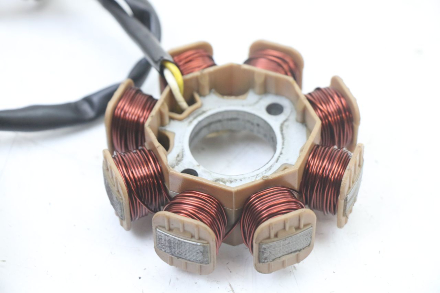 photo de ROTOR STATOR TNT MOTOR ROMA 10' 4T 50 (2019 - 2022) - Gesamtansicht des Produkts