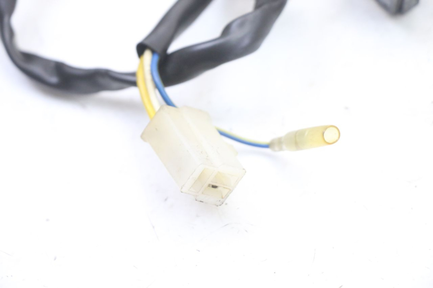 photo de ROTOR STATOR TNT MOTOR ROMA 10' 4T 50 (2019 - 2022) - Geprüftes Gebrauchtteil