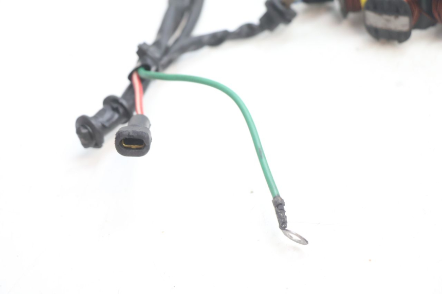 photo de LICHTMASCHINE PEUGEOT TREKKER 50 (1995 - 2004) - Oberflächenzustand und Material