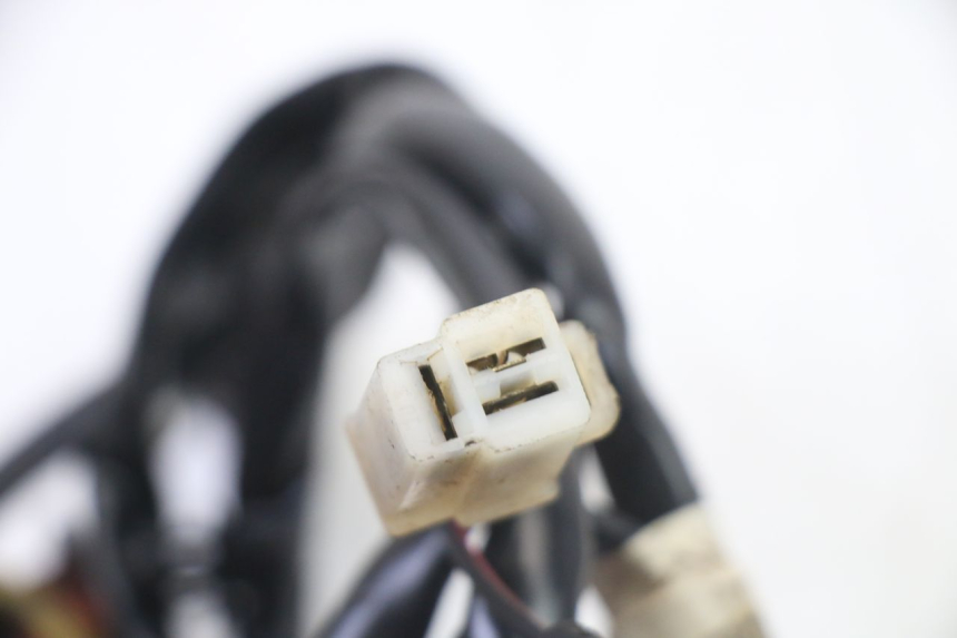 photo de LICHTMASCHINE PEUGEOT VIVACITY 50 (2004 - 2009) - Geprüftes Gebrauchtteil