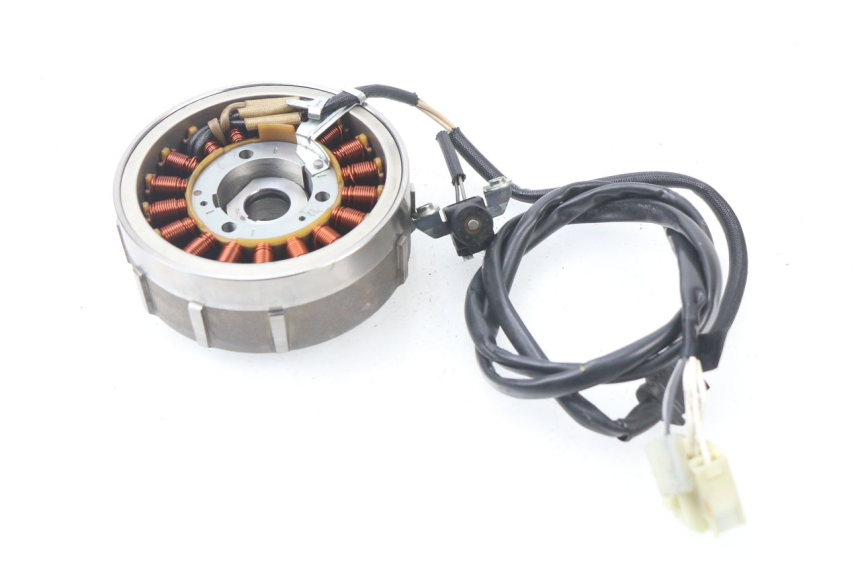 photo de LICHTMASCHINE YAMAHA XP T-MAX TMAX ABS 530 (2012 - 2015) - Zoom auf Gebrauchszustand