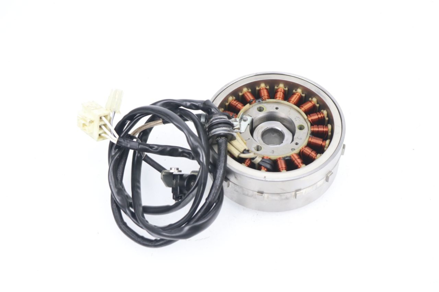 photo de LICHTMASCHINE YAMAHA XP T-MAX TMAX 530 (2015 - 2016) - Zoom auf Gebrauchszustand