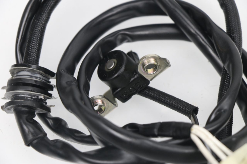 photo de LICHTMASCHINE YAMAHA XP T-MAX TMAX 530 (2015 - 2016) - Alternative Perspektive