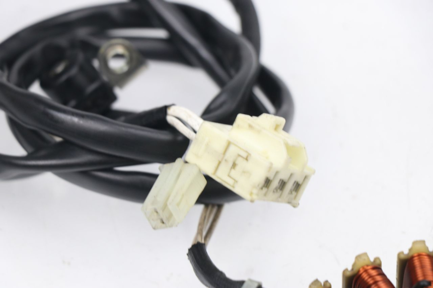 photo de LICHTMASCHINE YAMAHA XP T-MAX TMAX 530 (2015 - 2016) - Details der Befestigungspunkte