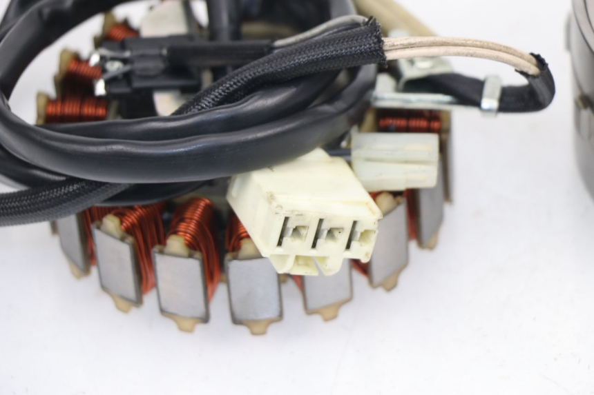 photo de LICHTMASCHINE YAMAHA XP T-MAX TMAX 530 (2015 - 2016) - Kennzeichnungen und Originalreferenzen