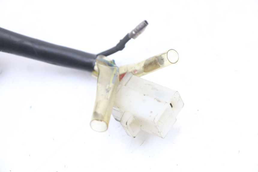 photo de LICHTMASCHINE UNIVERSAL BIKE ZN50QT-11B 50 (2018 - 2021) - Kennzeichnungen und Originalreferenzen