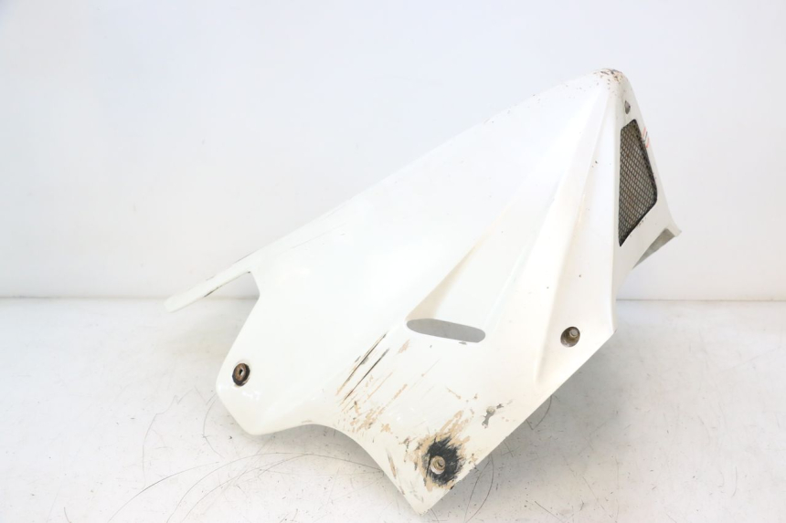 photo de BUGSPOILER KAWASAKI GPX F ZX750F 750 (1986 - 1990) - Profilansicht des Ersatzteils
