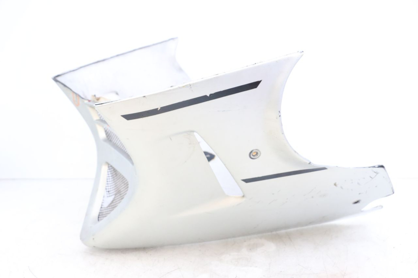 photo de BUGSPOILER SUZUKI GSX E 250 (1982 - 1983) - Charakteristische Merkmale