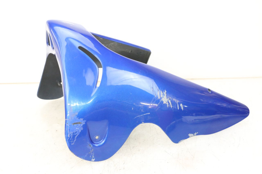 photo de BUGSPOILER SUZUKI GSF S BANDIT 600 (2000 - 2004) - Zoom auf Komponenten