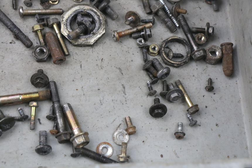 photo de SCHRAUBENBEUTEL KYMCO AGILITY 4T 50 (2005 - 2018) - Zoom auf Gebrauchszustand