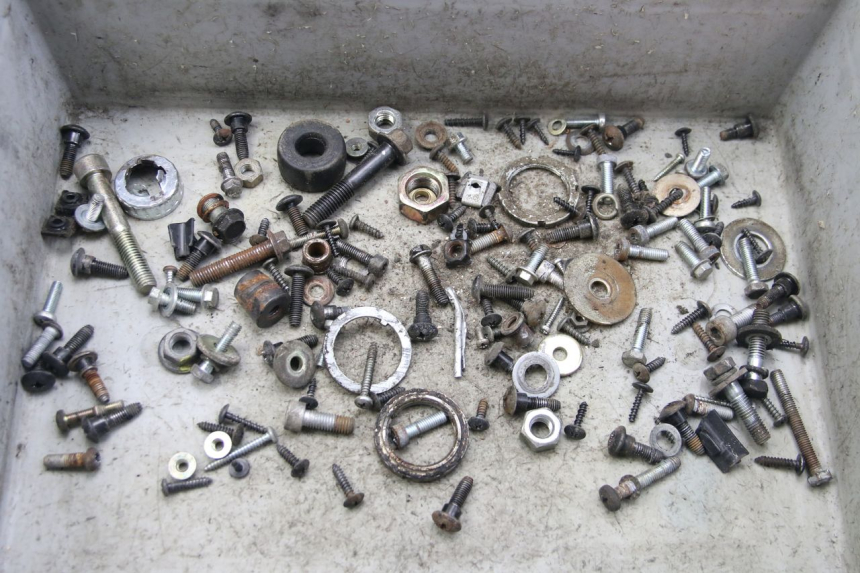 photo de SCHRAUBENBEUTEL DERBI BOULEVARD 50 (2009 - 2006) - Hauptansicht