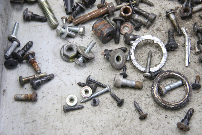 photo de SCHRAUBENBEUTEL DERBI BOULEVARD 50 (2009 - 2006) - Zoom auf Gebrauchszustand