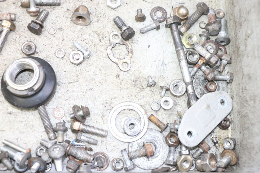 photo de SCHRAUBEN SKYTEAM DAX REPLICA 110 (2005 - 2015) - Alternative Perspektive