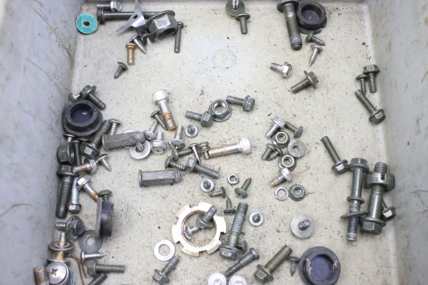 photo de SCHRAUBENBEUTEL JM MOTORS EVOLIS 4T 50 (2018 - 2022) - Zoom auf Gebrauchszustand