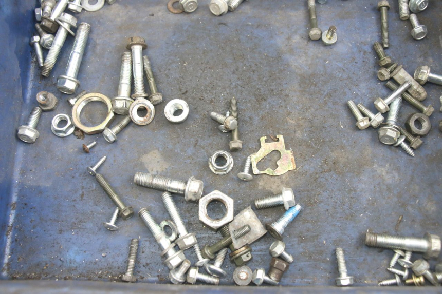 photo de SCHRAUBENBEUTEL JM MOTORS EVOLIS 4T 50 (2018 - 2022) - Zoom auf Gebrauchszustand