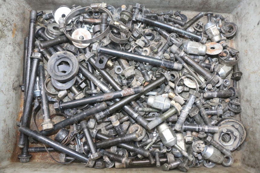 photo de SCHRAUBEN HYTRACK HY S 4X4 410 (2013 - 2016) - Hauptansicht