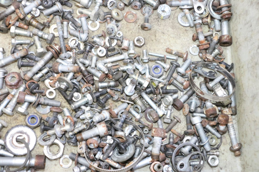 photo de SCHRAUBENBEUTEL PIAGGIO MP3 RL 250 (2006 - 2010) - Zoom auf Gebrauchszustand