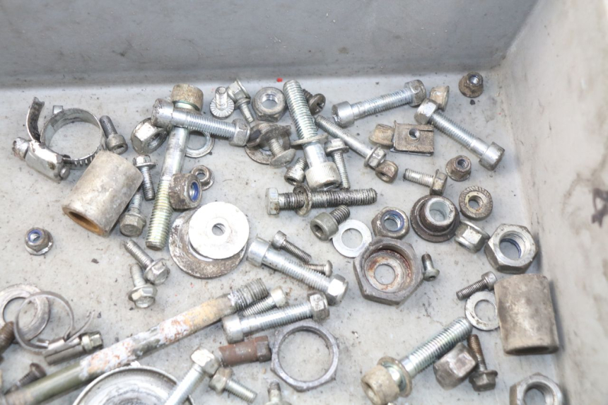 photo de SCHRAUBEN RIEJU RR 50 (1998 - 2007) - Zoom auf Gebrauchszustand