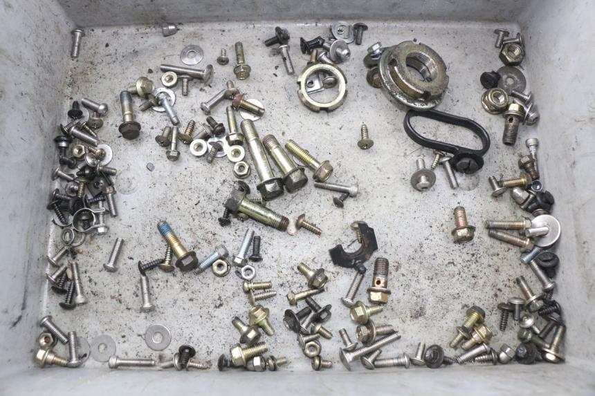 photo de SCHRAUBENBEUTEL DAELIM S2 FI 125 (2008 - 2017) - Hauptansicht