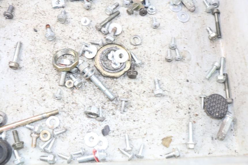 photo de SCHRAUBENBEUTEL JM MOTORS SANTANA 50 (2014 - 2023) - Zoom auf Gebrauchszustand