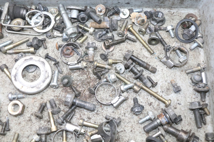 photo de SCHRAUBENBEUTEL YAMAHA YP MAJESTY 125 (2002 - 2006) - Zoom auf Gebrauchszustand