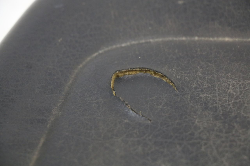 photo de HINTEN SITZ YAMAHA YP MAJESTY 125 (2002 - 2006) - Details der Befestigungspunkte