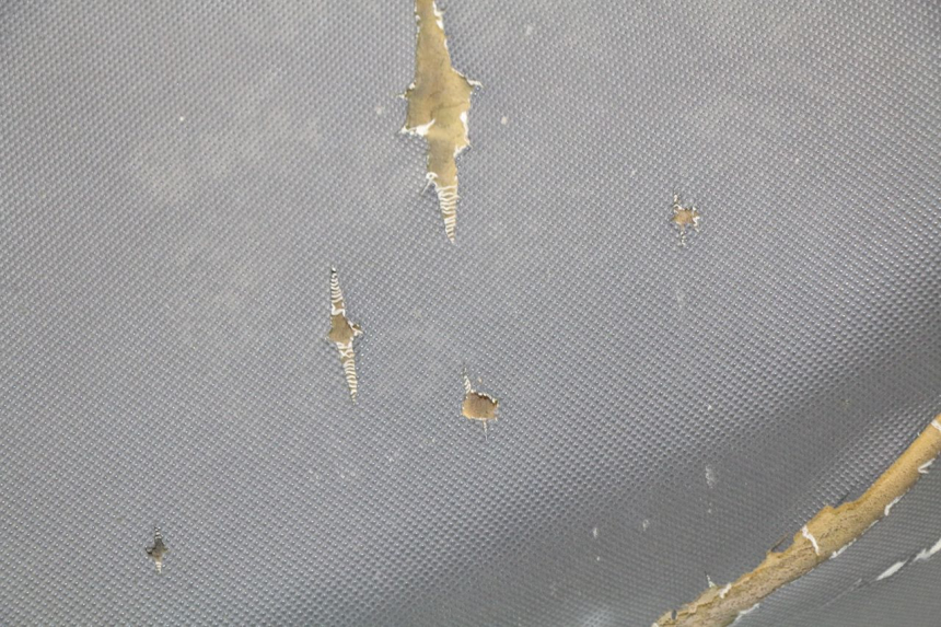 photo de SITZ ERIDER CARGO 1 (2009 - 2018) - Weitere Ansicht des Artikels