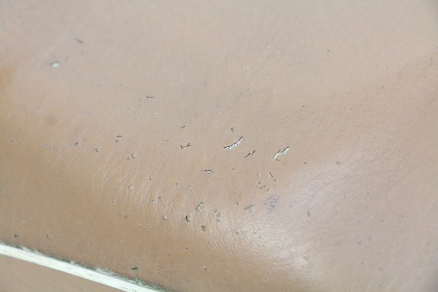 photo de SITZBANK RIDE CLASSIC 2T 50 (2014 - 2022) - Charakteristische Merkmale