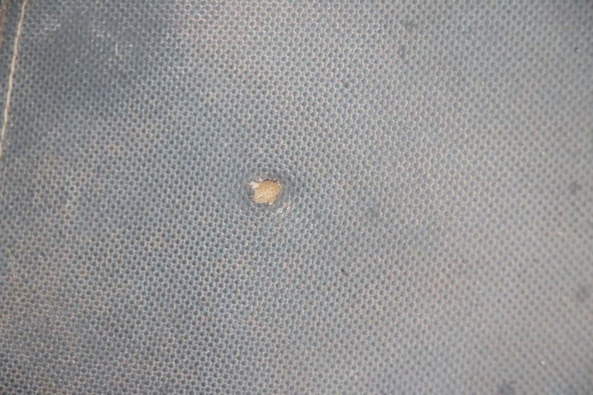 photo de SITZ LONGJIA DIGITA 4T 50 (2019 - 2022) - Hochauflösende Nahaufnahme