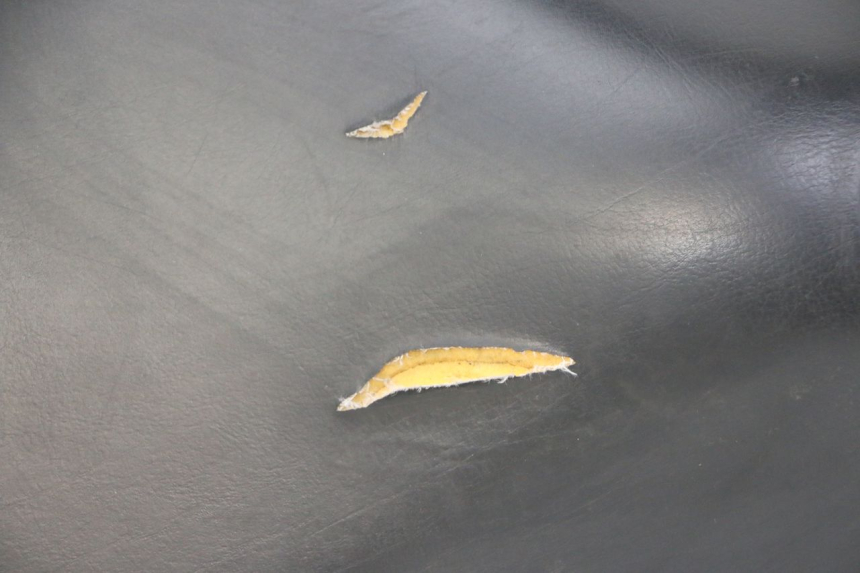 photo de SELLE PEUGEOT ELYSTAR 50 (2002 - 2014) - Detaillierte Sichtprüfung