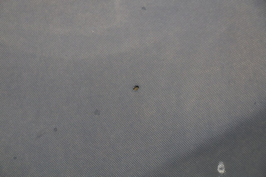 photo de SITZ JONWAY GTX 2T 50 (2014 - 2020) - Hochauflösende Nahaufnahme