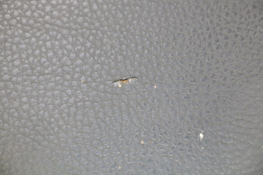 photo de SELLE PEUGEOT KISBEE 2T 50 (2010 - 2017) - Gesamtansicht des Produkts