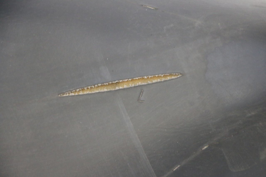 photo de SITZ PIAGGIO LIBERTY 125 (1998 - 2008) - Zoom auf Gebrauchszustand