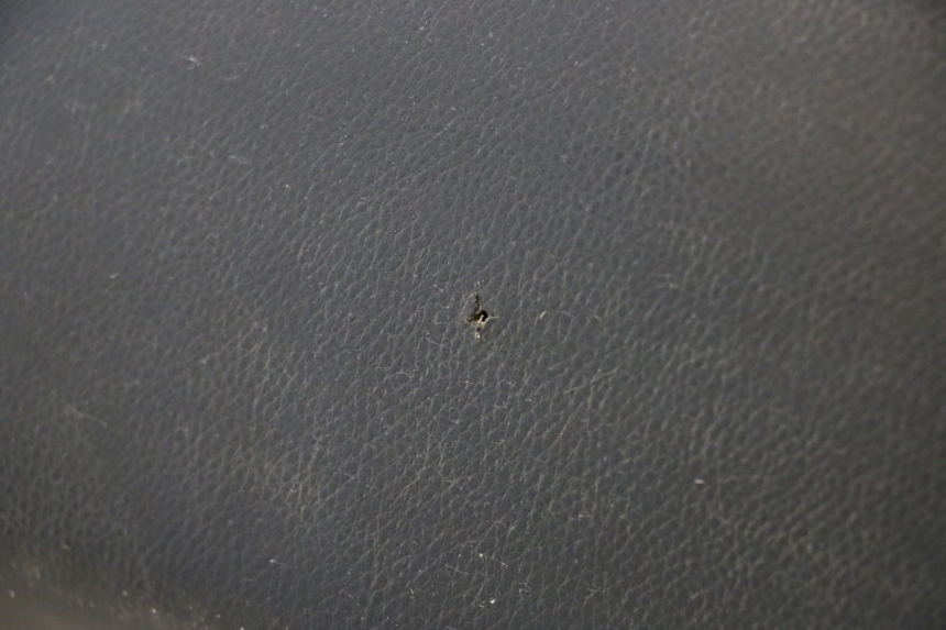 photo de SITZ PEUGEOT LUDIX ONE 50 (2004 - 2013) - Alternative Perspektive