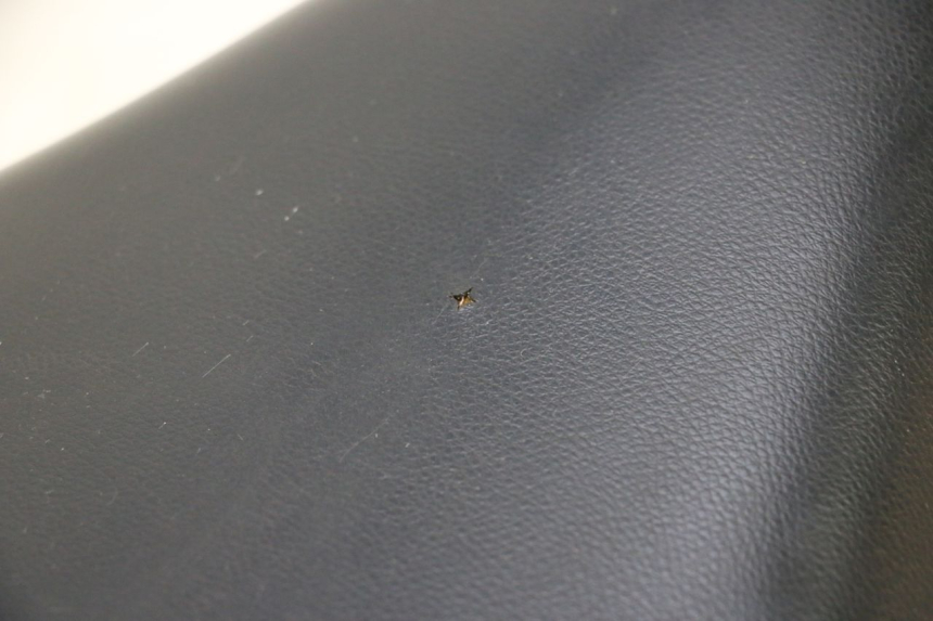 photo de SITZ PEUGEOT LUDIX SNAKE 2T 50 (2004 - 2014) - Technische Nahaufnahme