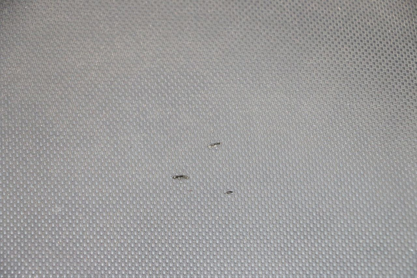 photo de SITZ MBK MACH G AC 50 (2002 - 2014) - Zoom auf Komponenten