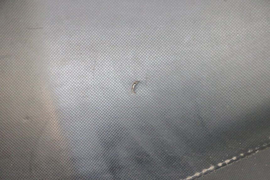 photo de SELLE PIAGGIO NEW TYPHOON 50 (2018 - 2021) - Gesamtansicht des Produkts