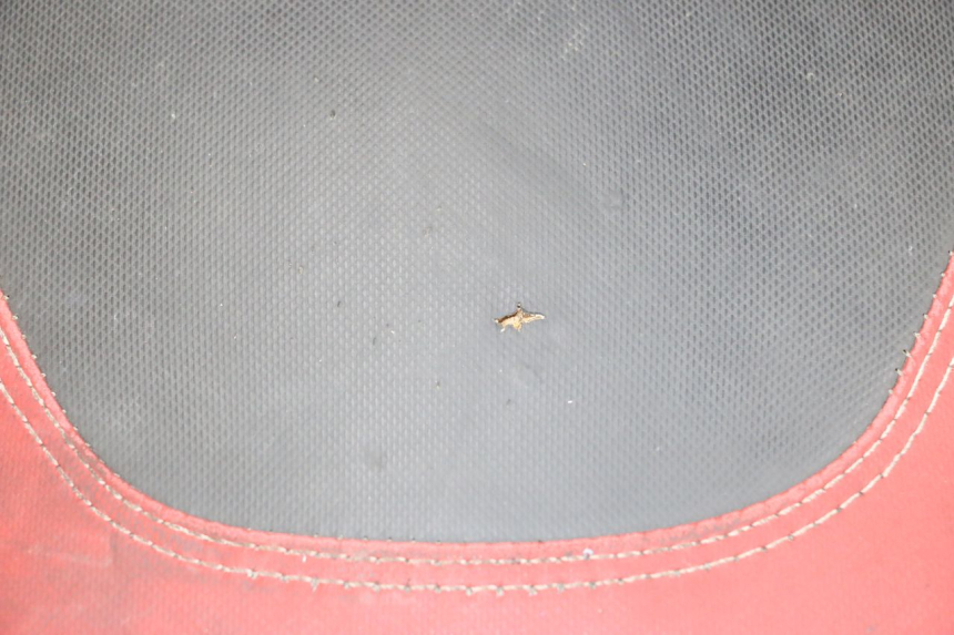 photo de SELLE PIAGGIO NEW TYPHOON 50 (2018 - 2021) - Oberflächenzustand und Material