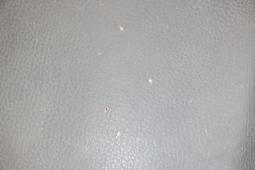 photo de SELLE SYM ORBIT 2 4T 50 (2008 - 2017) - Alternative Perspektive