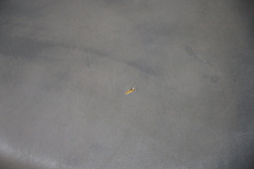 photo de SELLE PEUGEOT LUDIX 50 (2008 - 2017) - Details der Befestigungspunkte