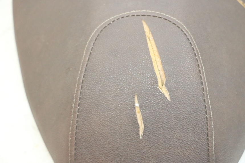 photo de SITZ EFUN PUSA 1 - Hochauflösende Nahaufnahme