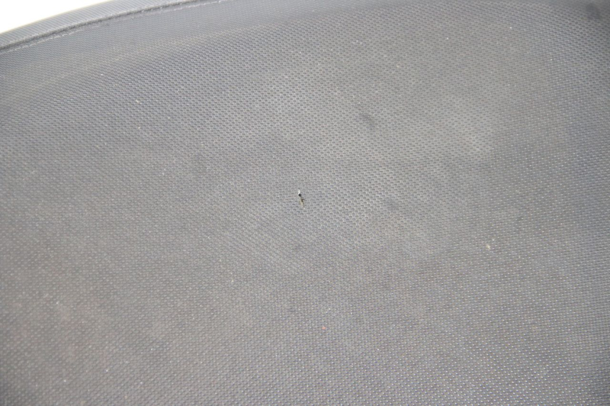 photo de SITZ TNT MOTOR ROMA 10' 4T 50 (2007 - 2018) - Weitere Ansicht des Artikels