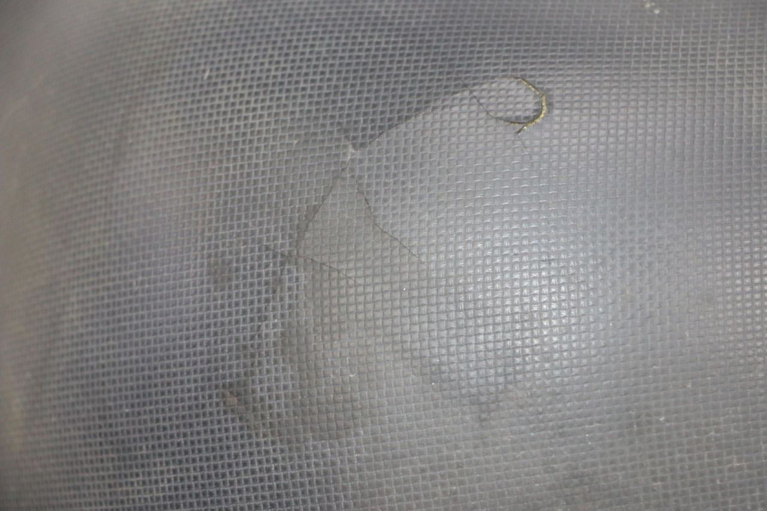 photo de SITZ DAELIM S1 125 (2007 - 2016) - Zoom auf Gebrauchszustand