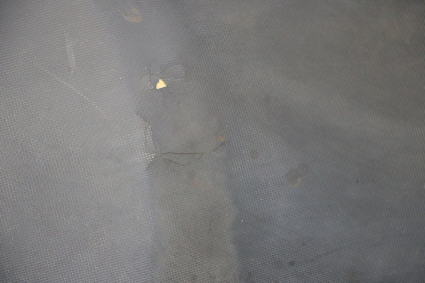 photo de SITZ DAELIM S1 125 (2007 - 2016) - Alternative Perspektive