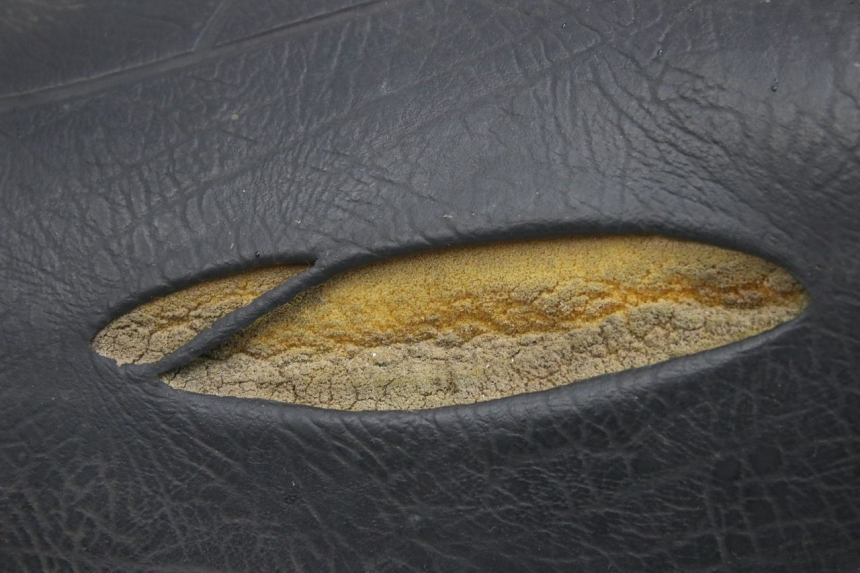 photo de SELLE APRILIA SCARABEO 100 (2003 - 2012) - Weitere Ansicht des Artikels