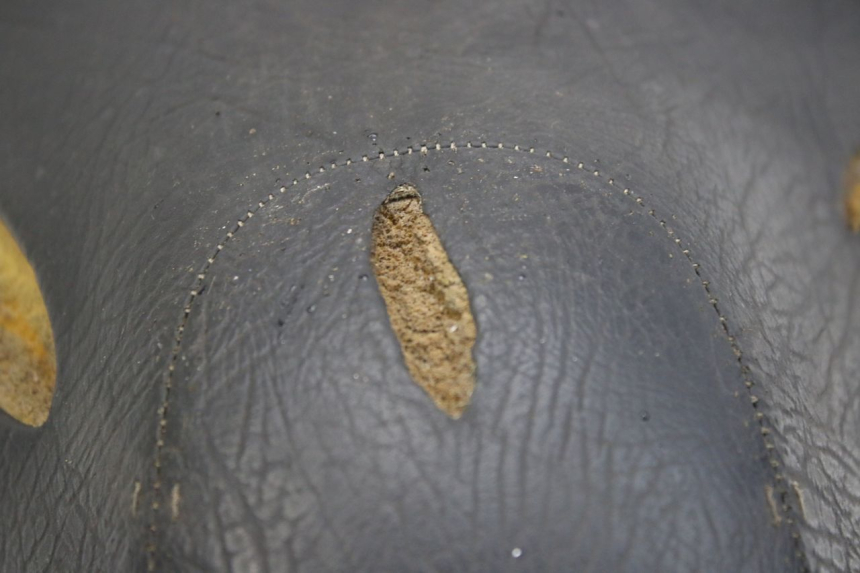 photo de SELLE APRILIA SCARABEO 100 (2003 - 2012) - Charakteristische Merkmale